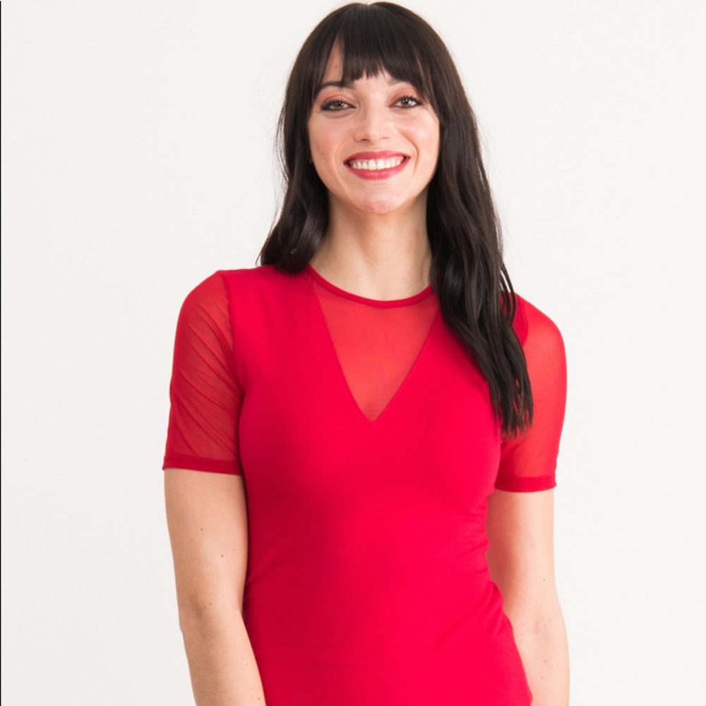 Agnes & Dora Sheer V Neck NWT